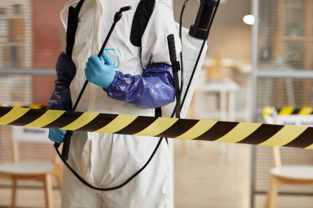Professional Odor Removal technician working in Holbrook, MA