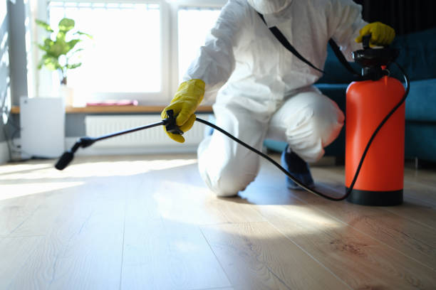 Reliable Odor Removal contractor in Holbrook, MA by Trauma Clean Pros